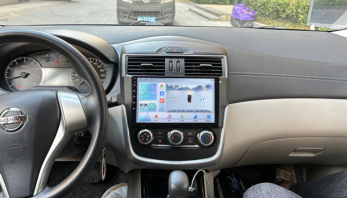 TS10 car audio